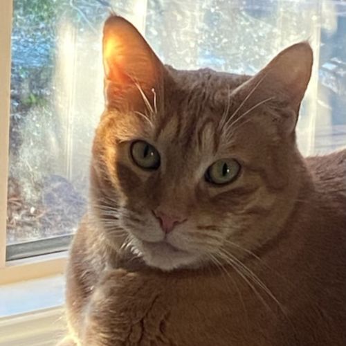 Milo