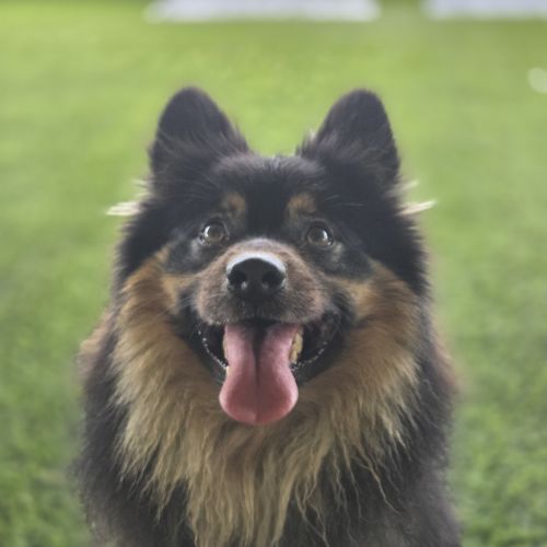 Milo