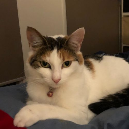 No photo for Queen Mary 