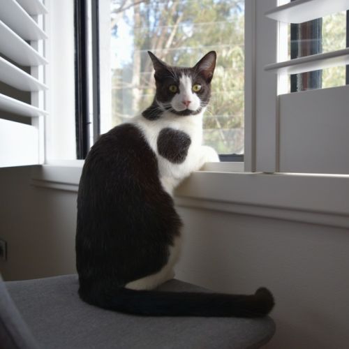 No photo for Charlie