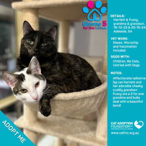 Harriett & Fuzzy 2 for 1 Mum & Bubs Deal!