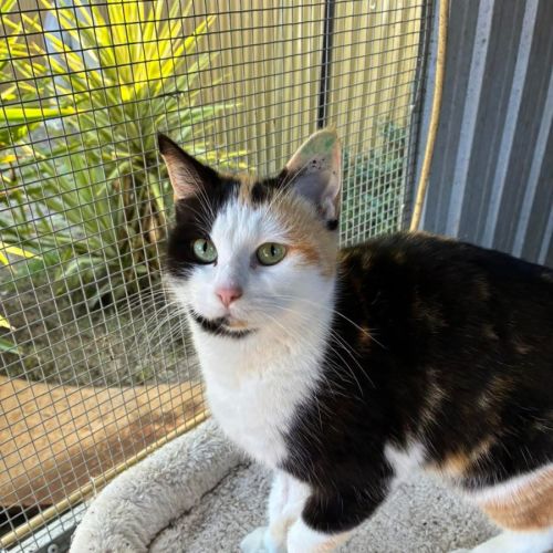 No photo for Betty Lou