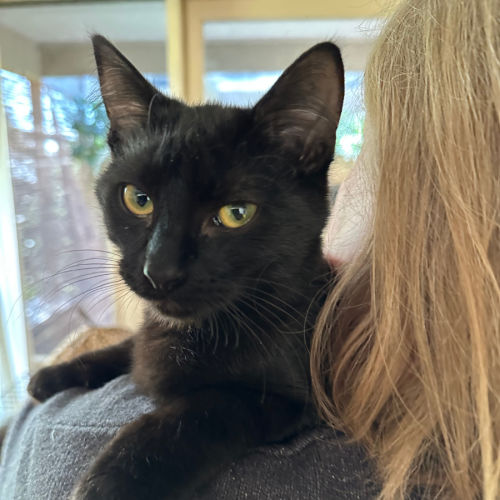 No photo for 🐭 Koko 🐭 