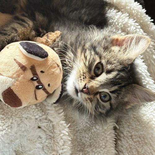 Larry 😻😻💙💙