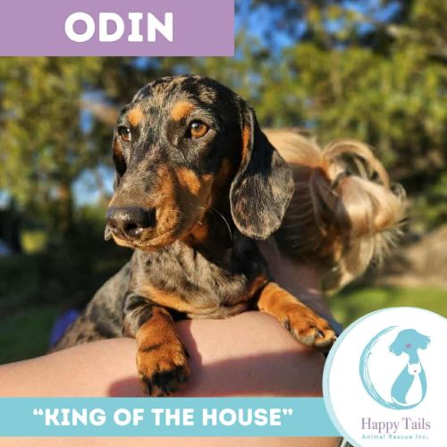 Odin