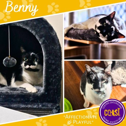 Benny