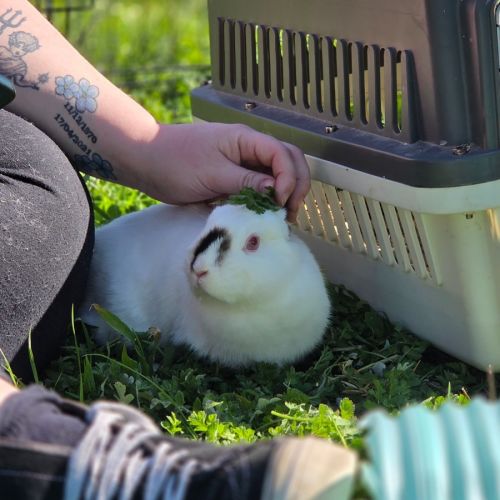 No photo for Beetroot