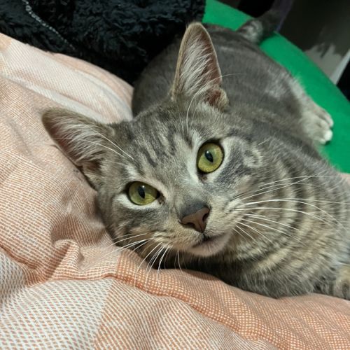 Big Ted & Little Roger