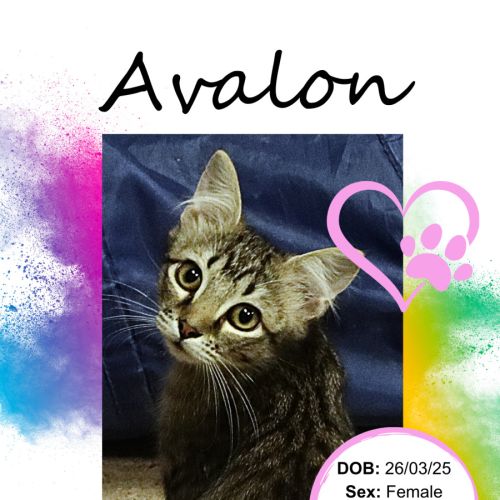 Avalon