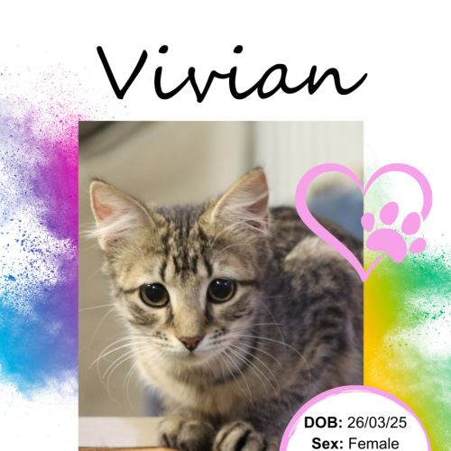 Vivian