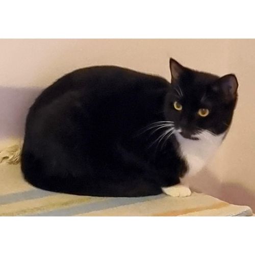 No photo for 10620   Marlow