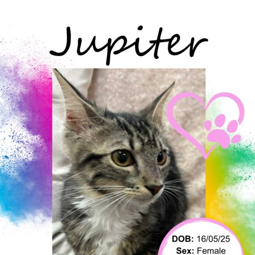 No photo for Jupiter