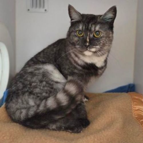 No photo for Locket