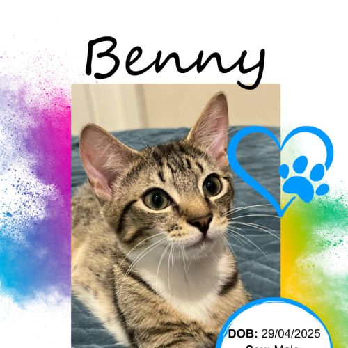 Benny
