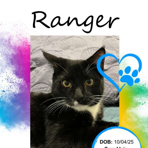 Ranger