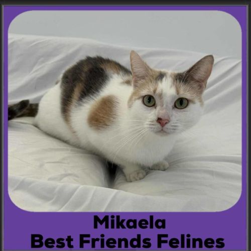 Mikaela 