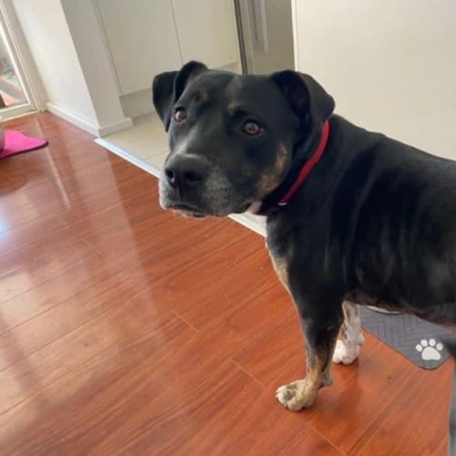 No photo for Big Bear