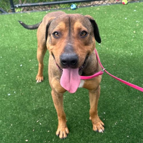 No photo for Syd Imp 2033