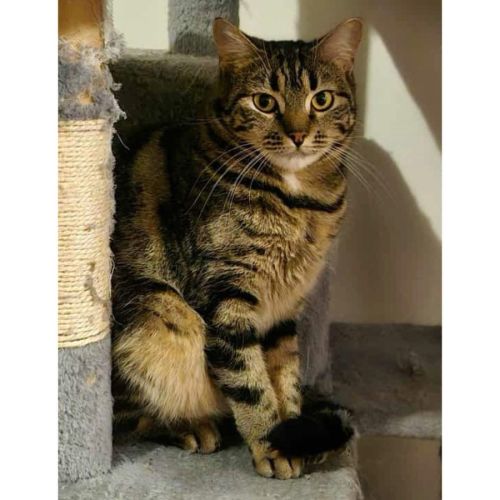 No photo for 11590 Province