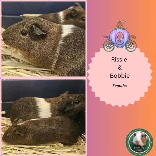 Rissie & Bobbie