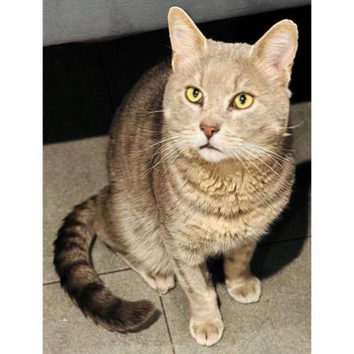 No photo for 12645   Teddy