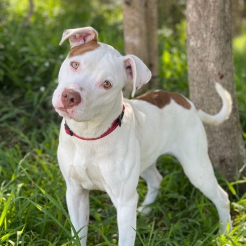 No photo for Jarrett