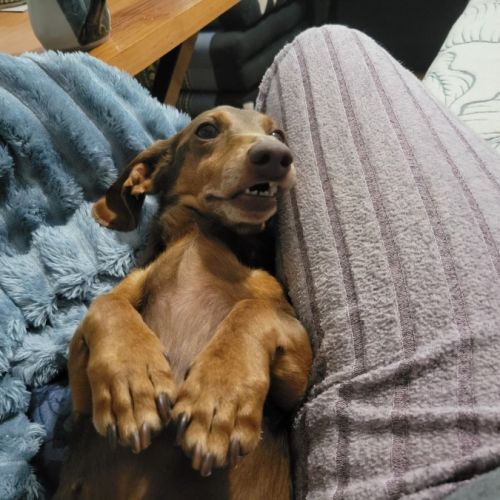 No photo for Fern