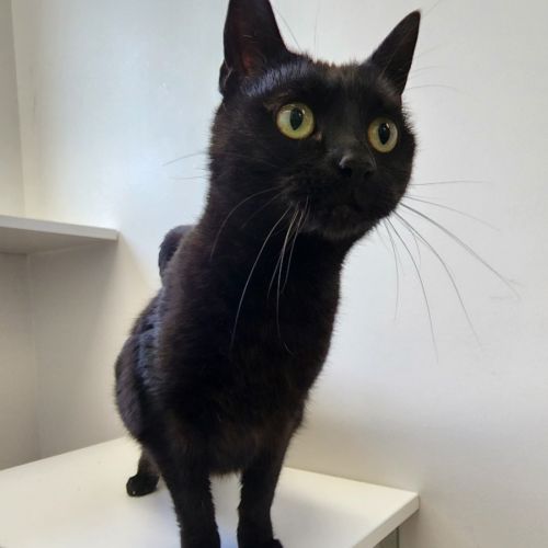 No photo for Ally And Toby