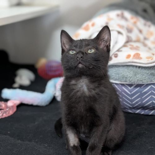 Edna