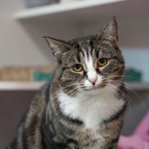 No photo for Clemence