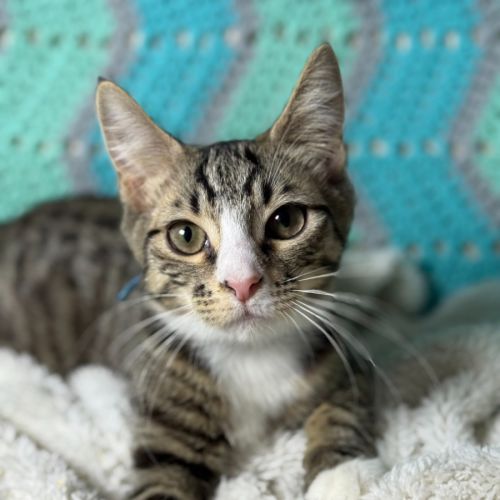 No photo for Terence