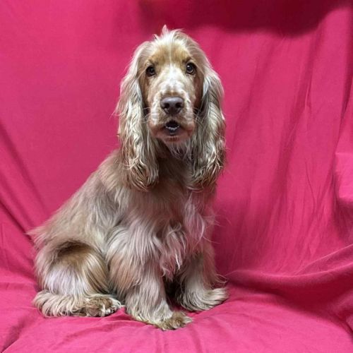 No photo for Winston