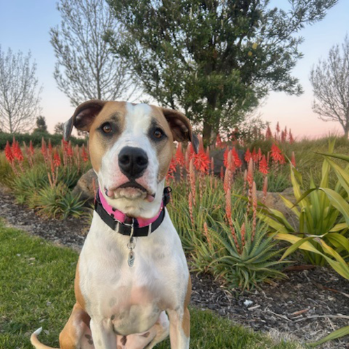 No photo for Ruby