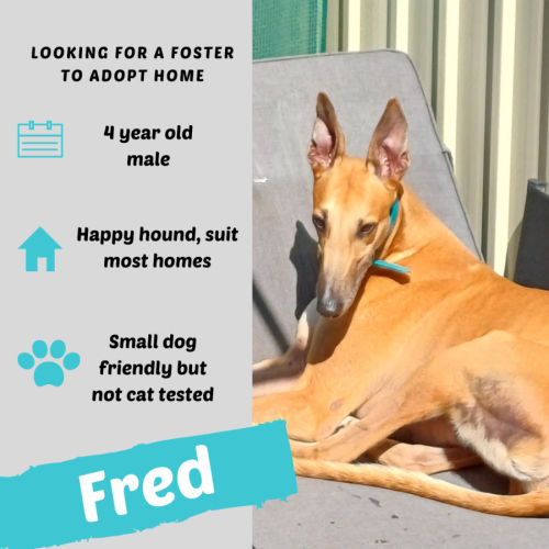 Fred