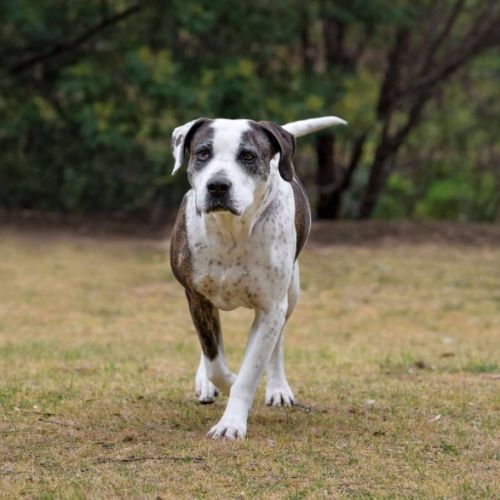 No photo for Sonrisa