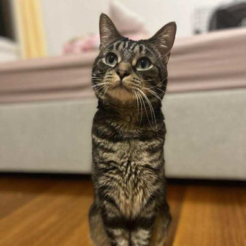 Jeff - In foster care in Doncaster East