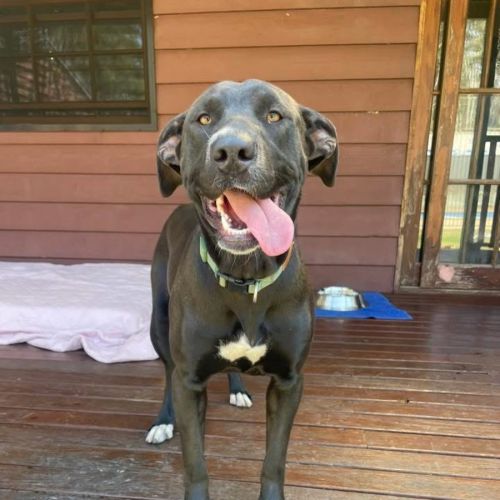 No photo for 🩷 Cleopatra Aka Bubbles 🩷