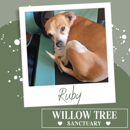 Ruby