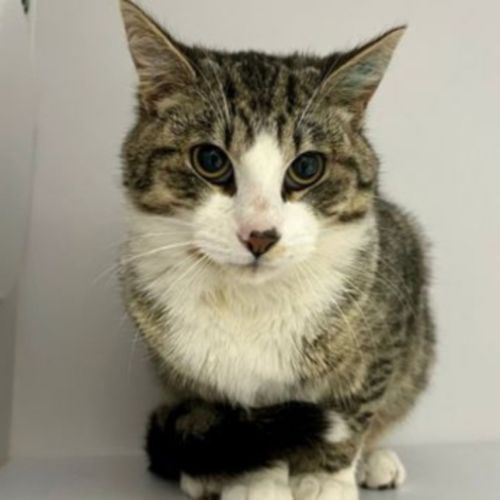 No photo for Parsley