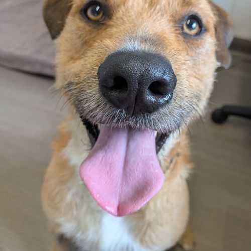 Max