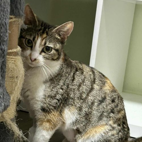 No photo for Mathilda