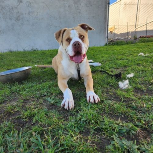 No photo for Jessica (66835)