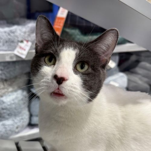 No photo for Pablo 🌟🌴