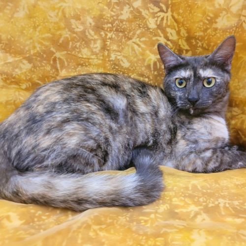 No photo for Jewel 💎