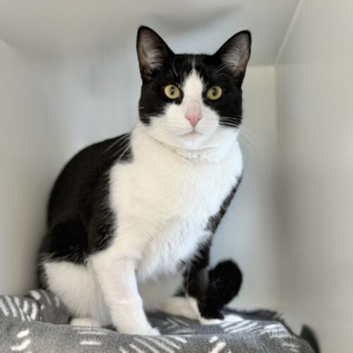 No photo for Charlie