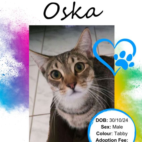 No photo for Oska