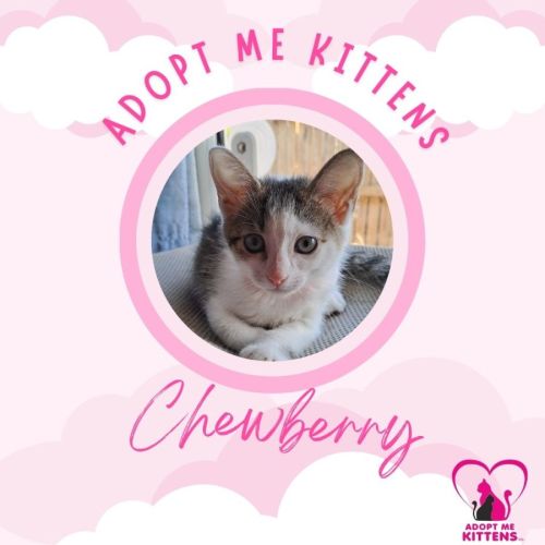 Chewberry
