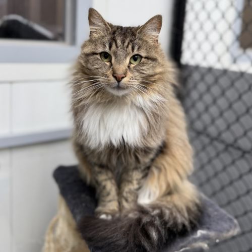 No photo for Esmeralda