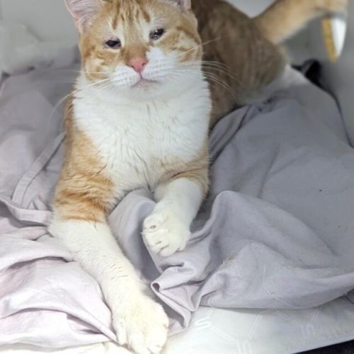 No photo for Patrick