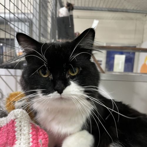 No photo for Sparten